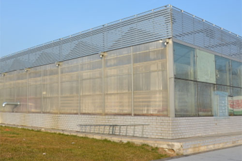 温室建筑
